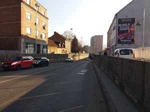 Slika: Selska cesta