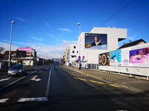 Slika: Wallscape Dubrava 173 